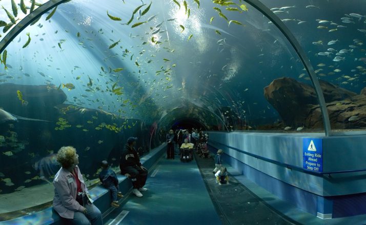 sydney-aquarium-sydney